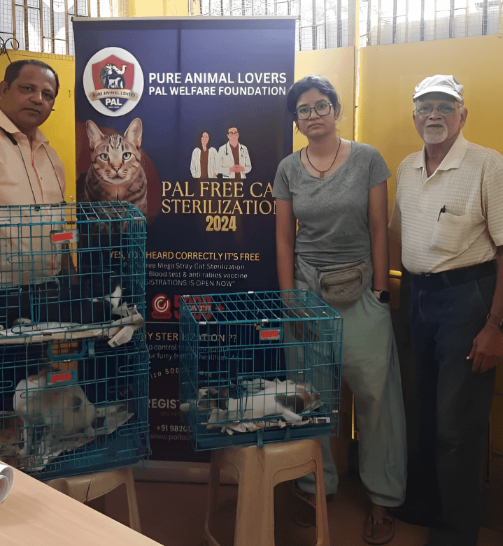Pure Animal Lover Free Sterilization camp.