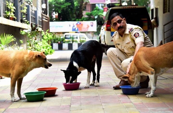 Sudhir Kudalkar feeding a stray dog.