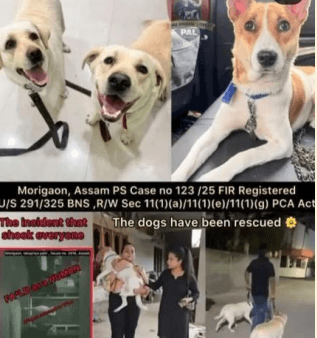 Rescued dogs in assam and registered FIR in the police station