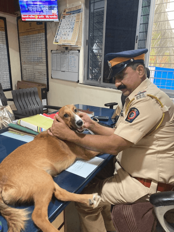 A police officer lovingly petting a dog in his office.